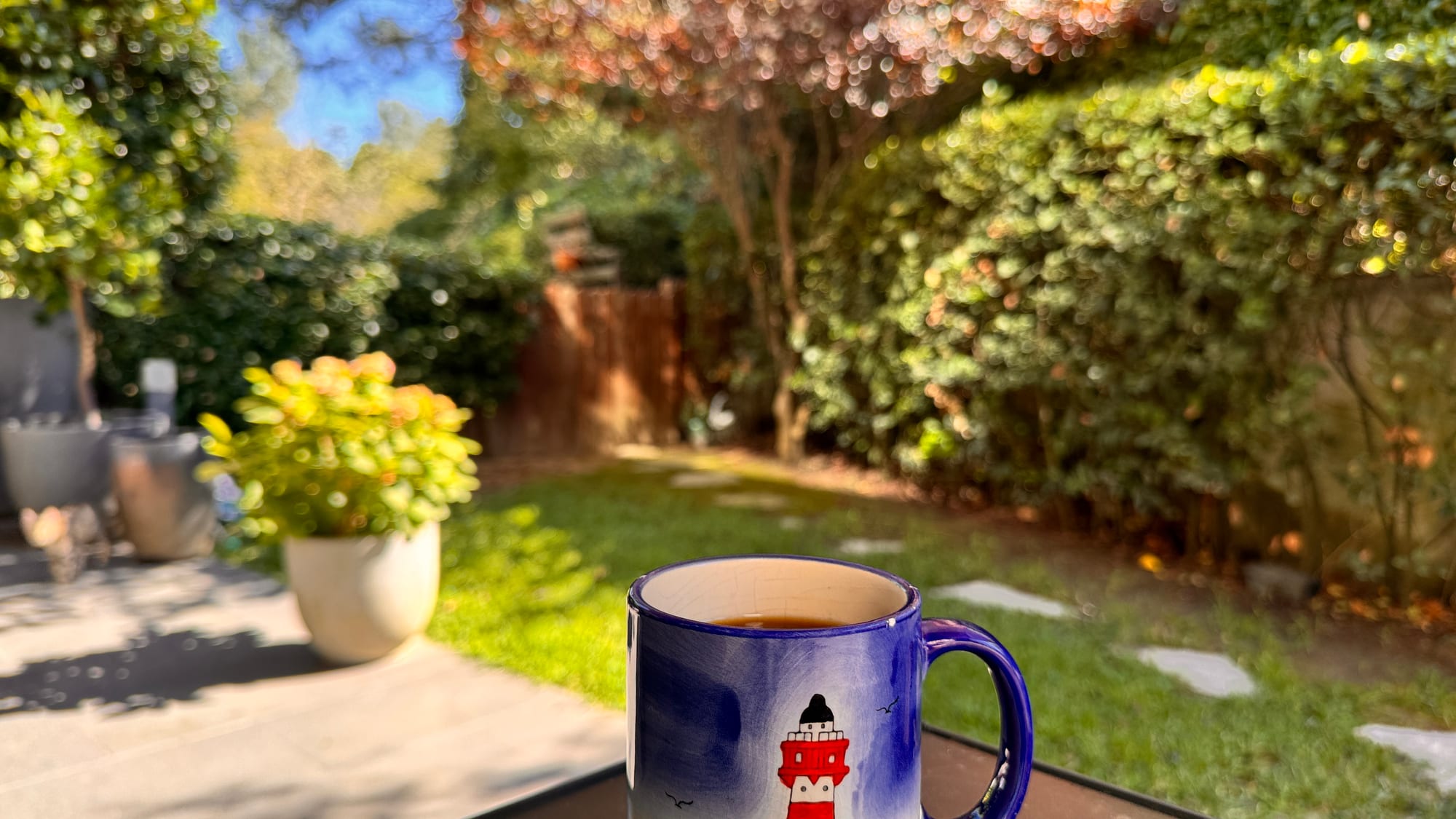 My Istanbul coffee cup in the garden on a sunny morning
